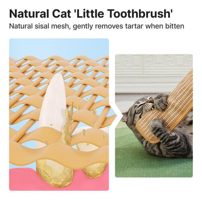 🔥LAST DAY SALE-80% OFF🔥-Potaroma Interactive Catnip Chew Toy